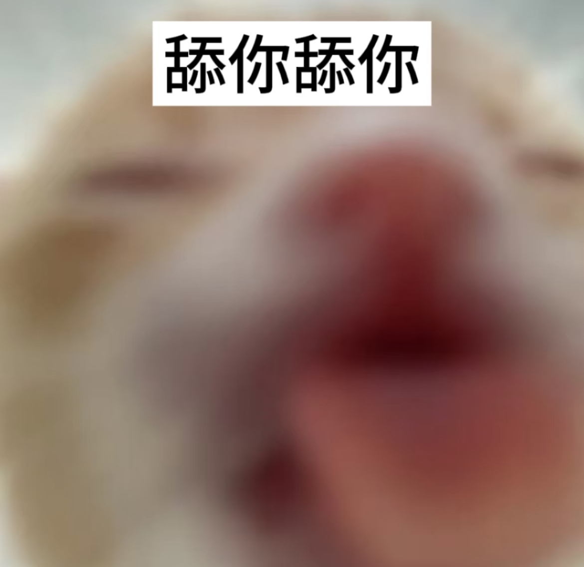 IMG_4538.jpeg