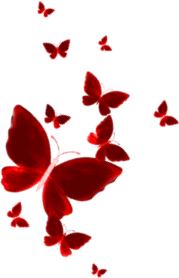 1000159062.png