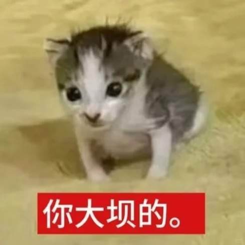 低脂小猫表情包自取_1_我没布讲栗猫_来自小红书网页版.jpg