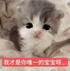 申请交换小猫表情包^•͈༝•͈^ฅ_15_桃._来自小红书网页版.jpg