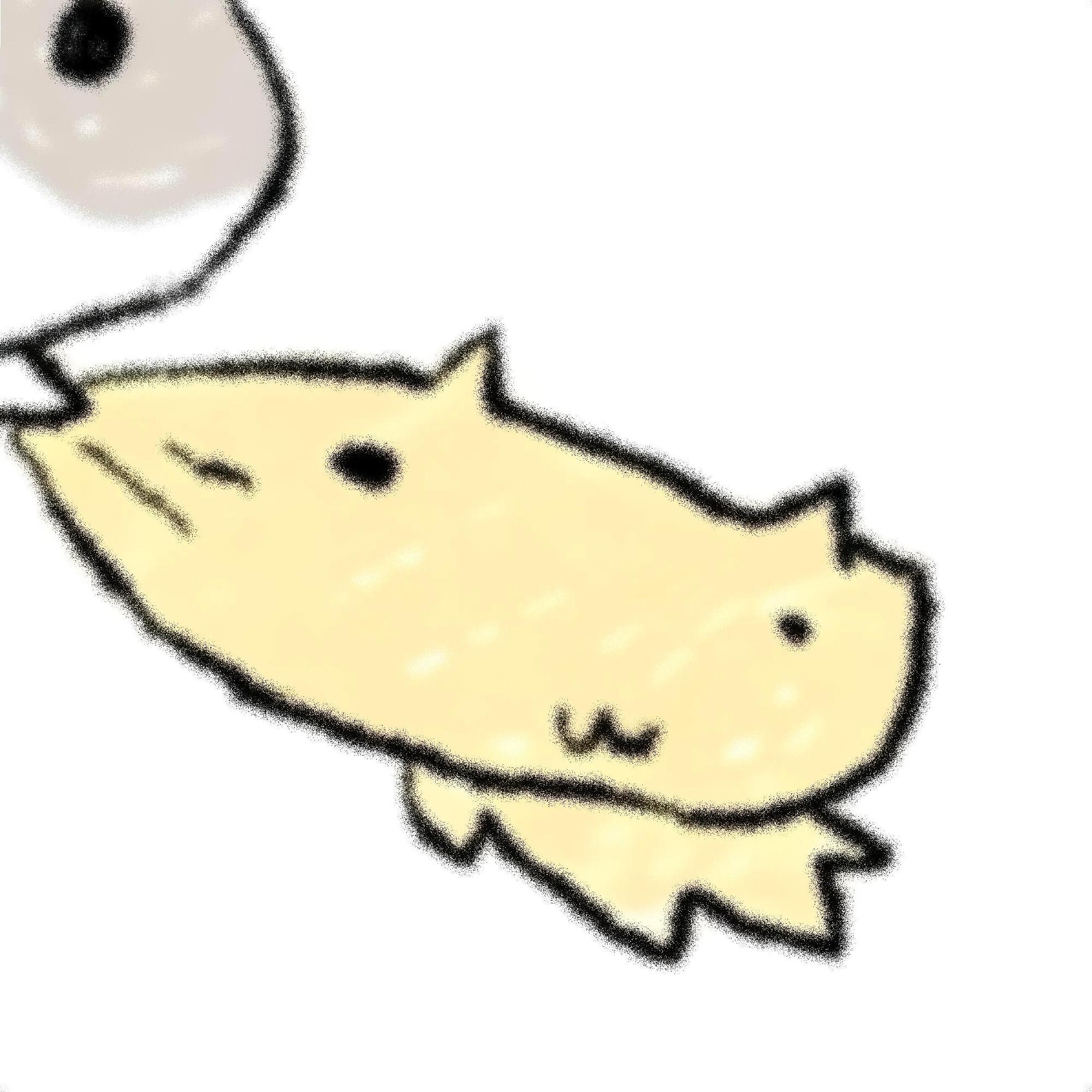 c.jpg