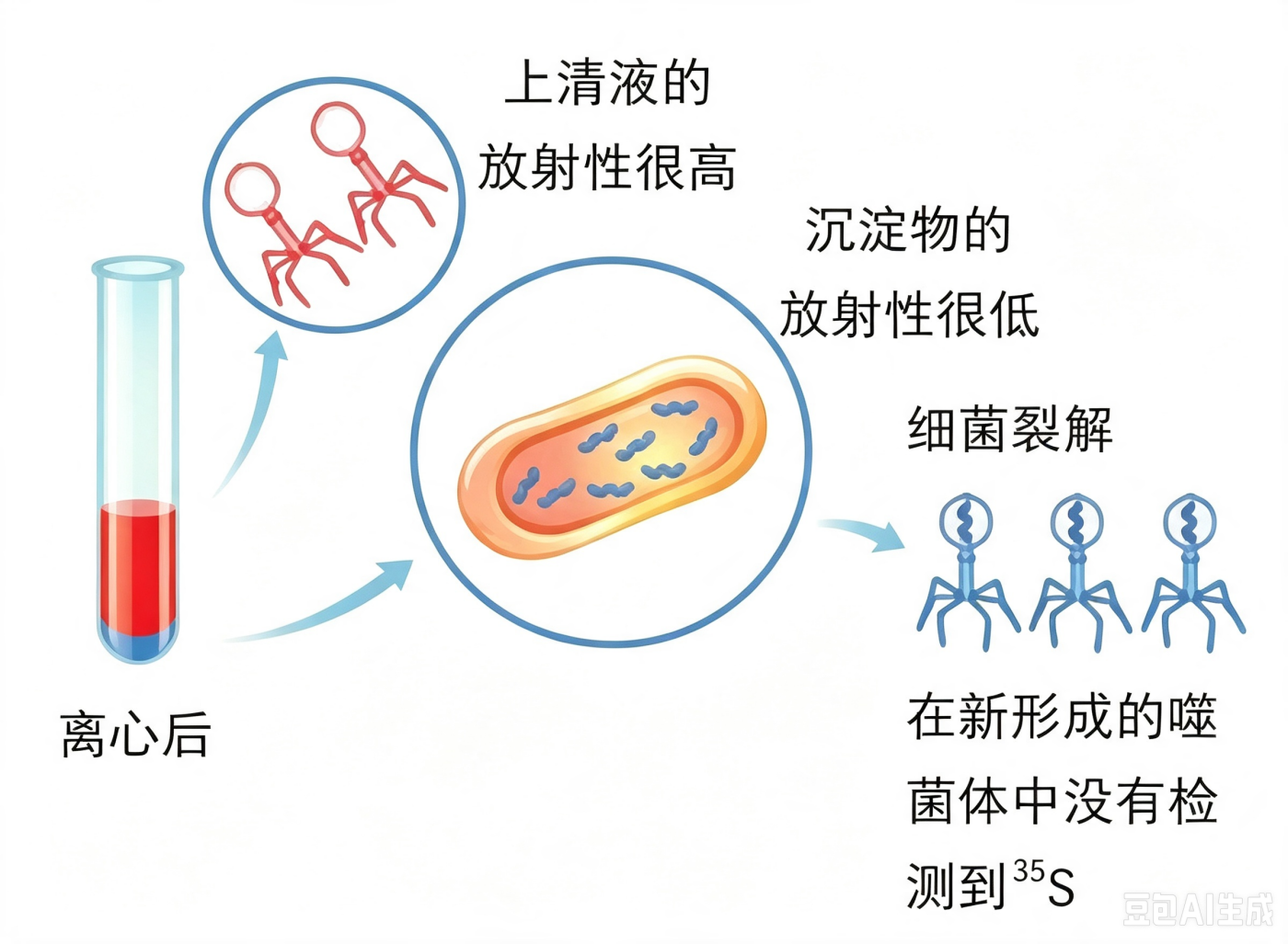 35S标记组结果.png