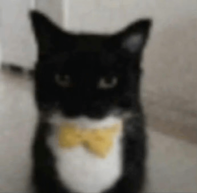1785750008887.png