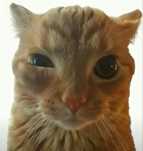 avatar-1785738625923-6832.jpeg