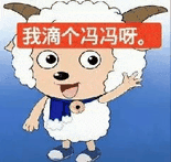 1000267491.jpg