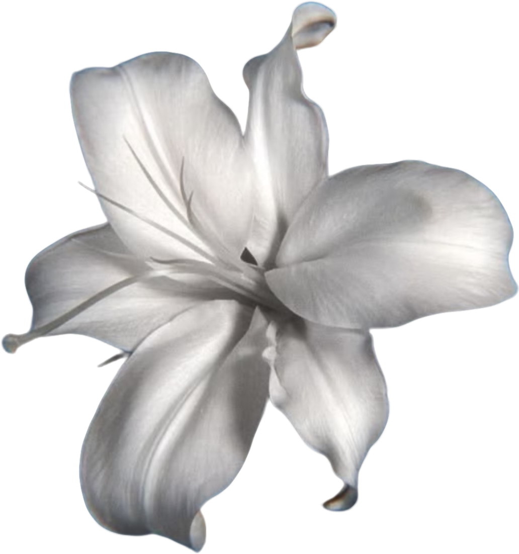 retouch_2026080310050826.png