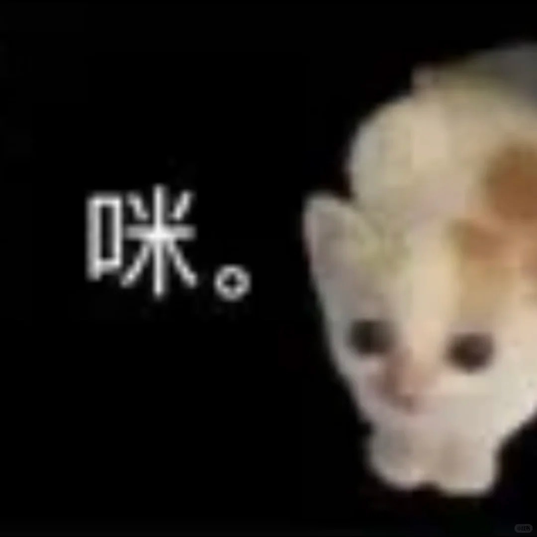 想要这样的小猫表情包🥺_9_ForNight_4ye_来自小红书网页版.jpg