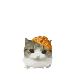 1000267469.jpg