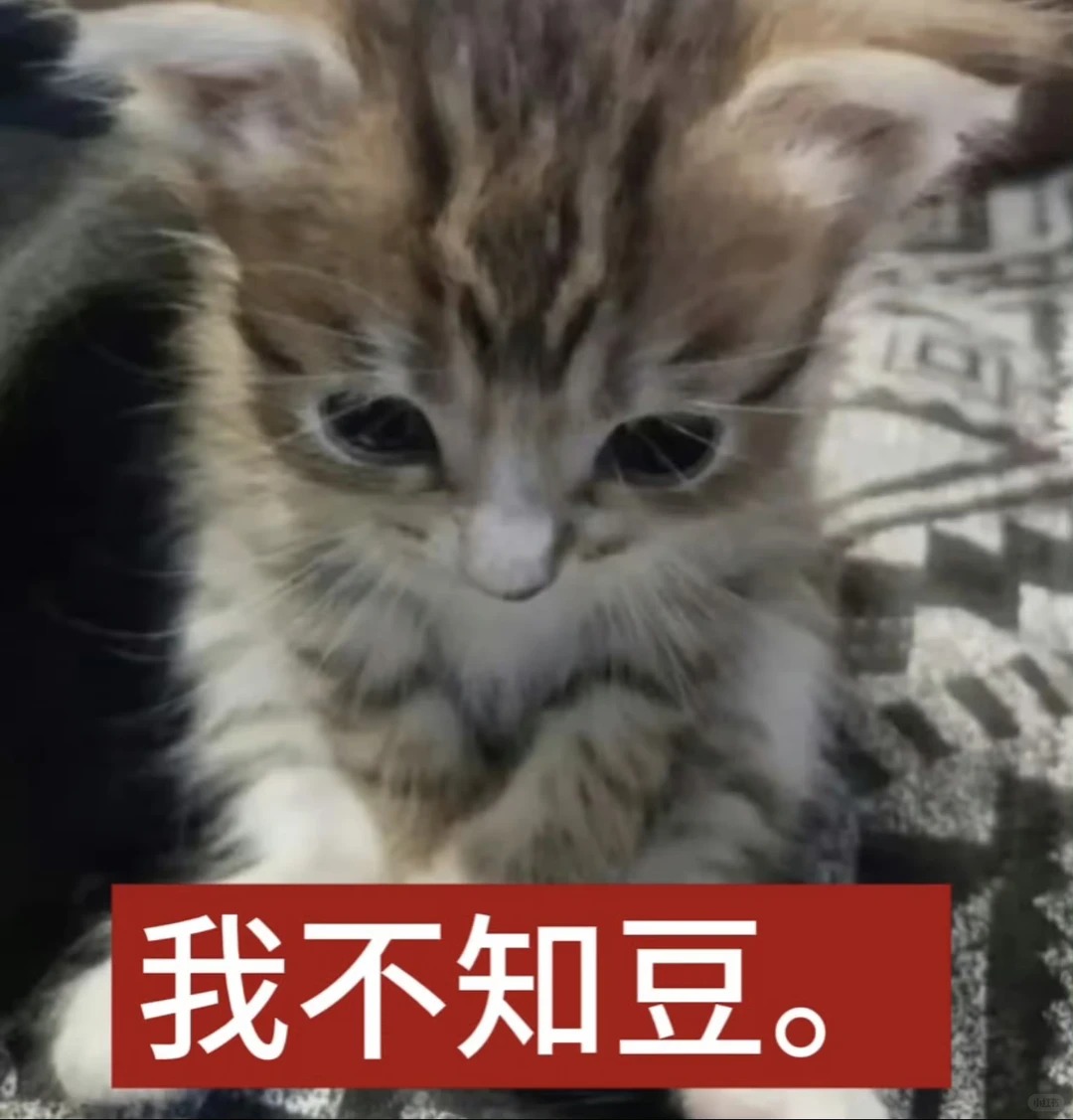 审喵积累｜一些萌萌的小猫表情包₍˄·͈༝·͈˄_₎◞_1_淤青solitude_来自小红书网页版.jpg