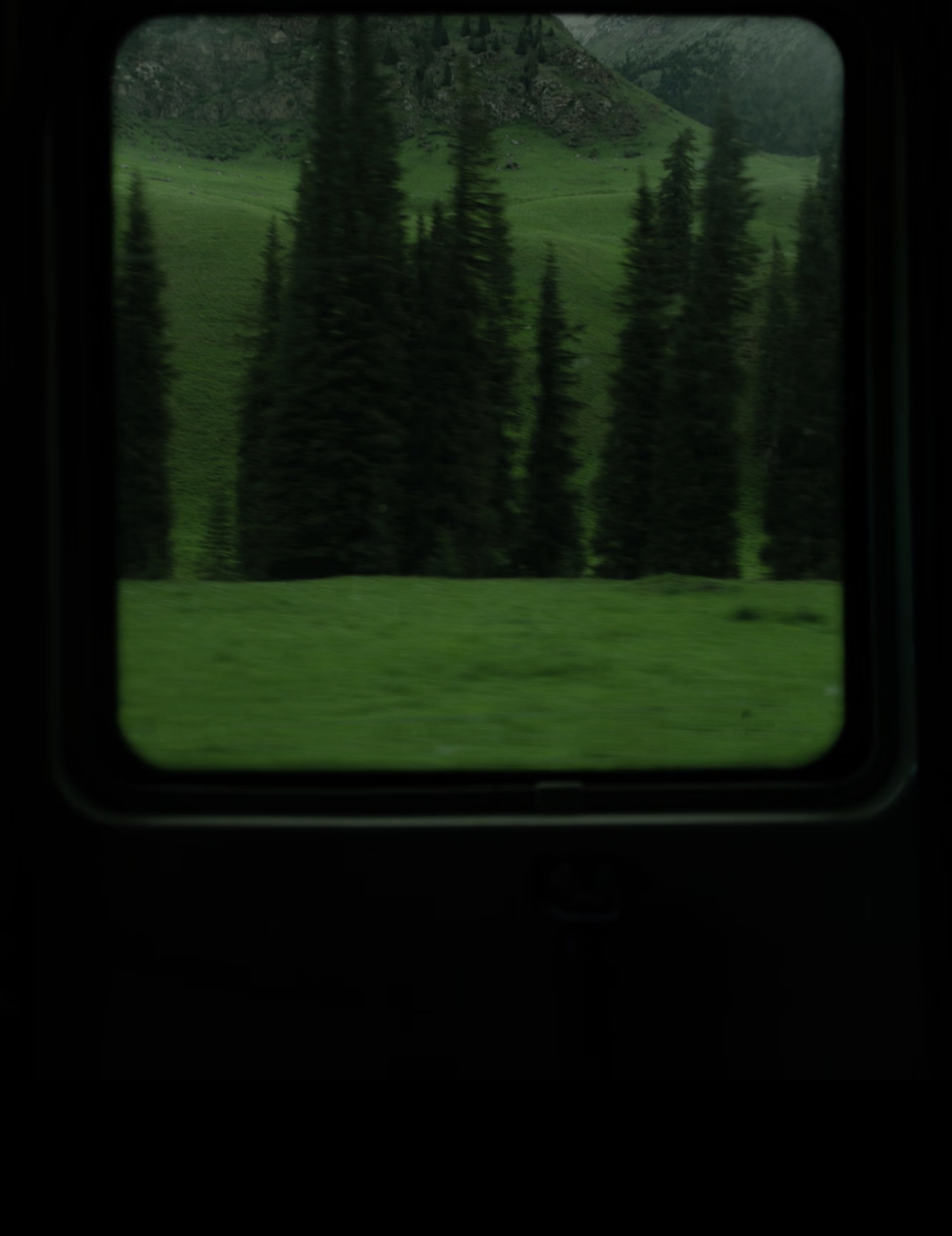 1000177928.jpg