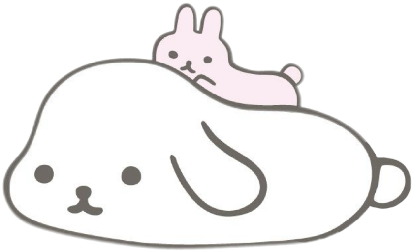 IMG_8821.png