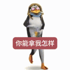 1000267476.jpg