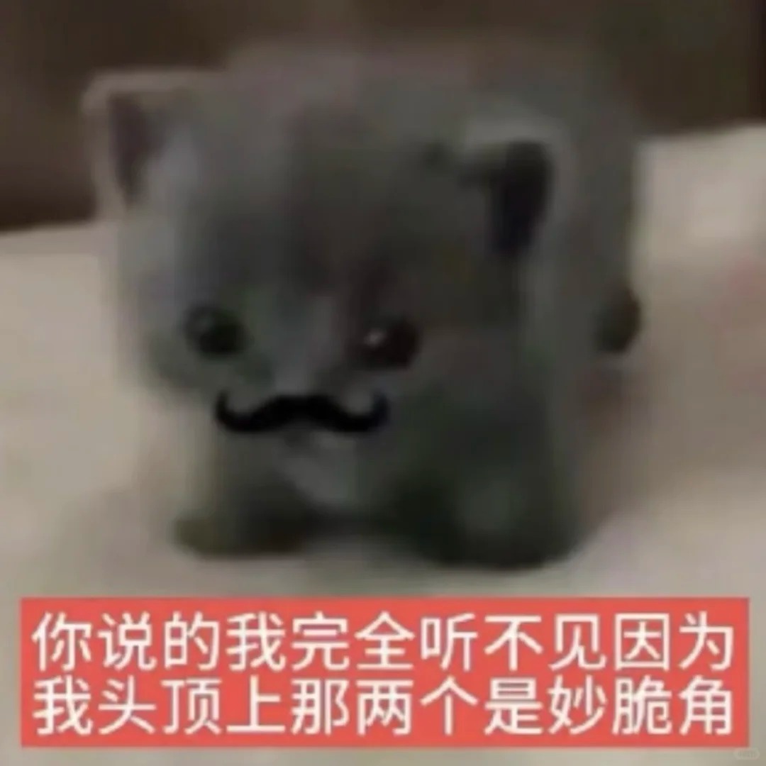有没有这种感觉的表情包啊 低脂又萌萌的_4_自律的炸洋芋_来自小红书网页版.jpg