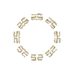 ezgif.com-gif-maker.gif