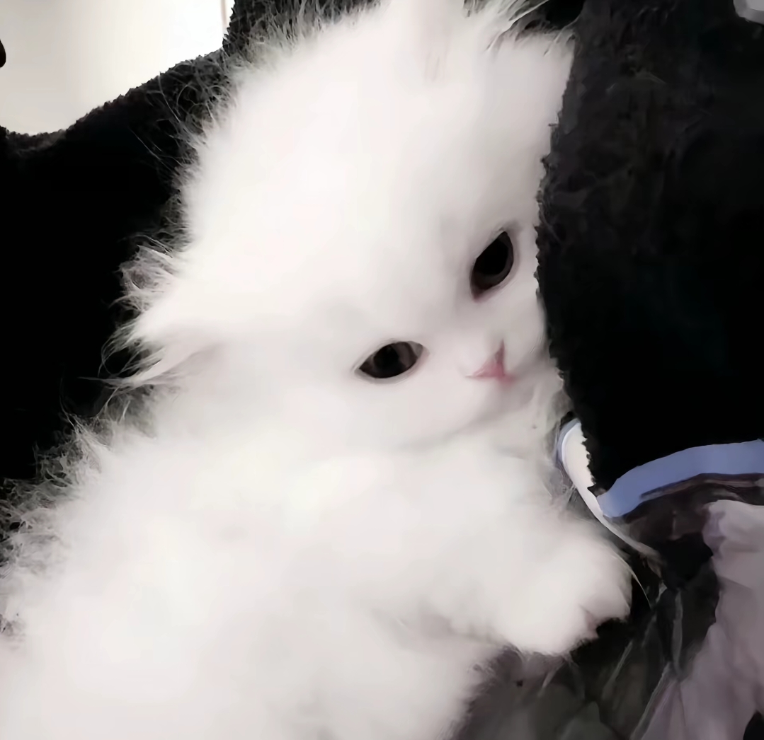 1000051044.png