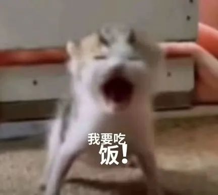 mmexport1785812920533.gif