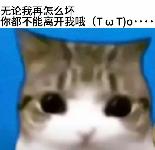 mmexport1785812861503.gif