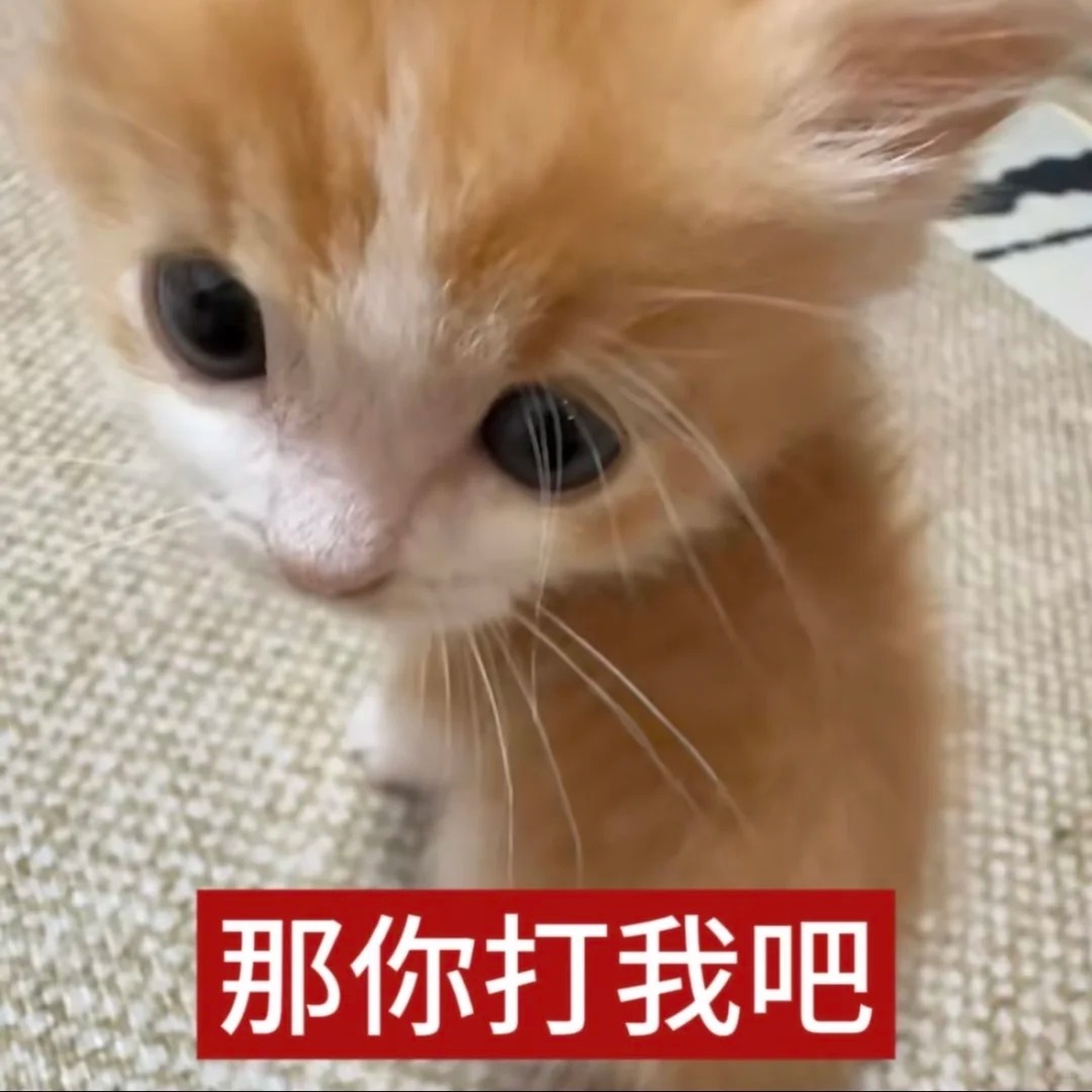 审美积累（1）_11_萌萌之中早已注定_来自小红书网页版.jpg