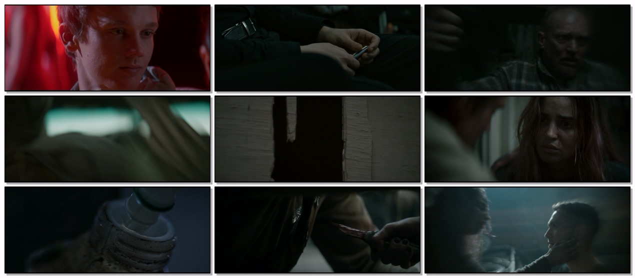 Evil.Dead.Burn.2026.1080p.AMZN.WEB-DL.DDP5.1.H.264-KyoGo.mkv.jpg