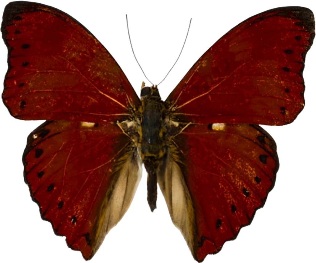 retouch_2026080410360779.png