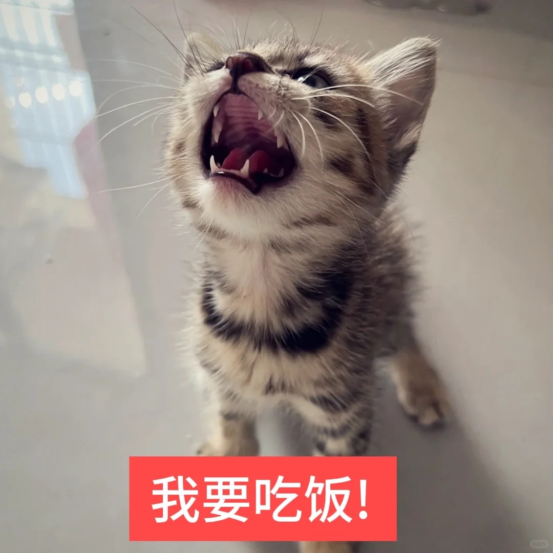 ¯꒳¯_3_爪爪_来自小红书网页版.jpg