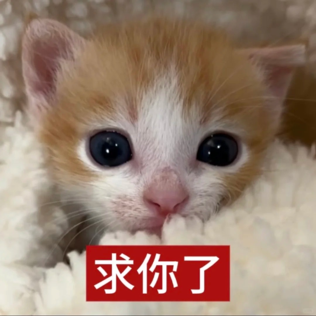审美积累（1）_6_萌萌之中早已注定_来自小红书网页版.jpg