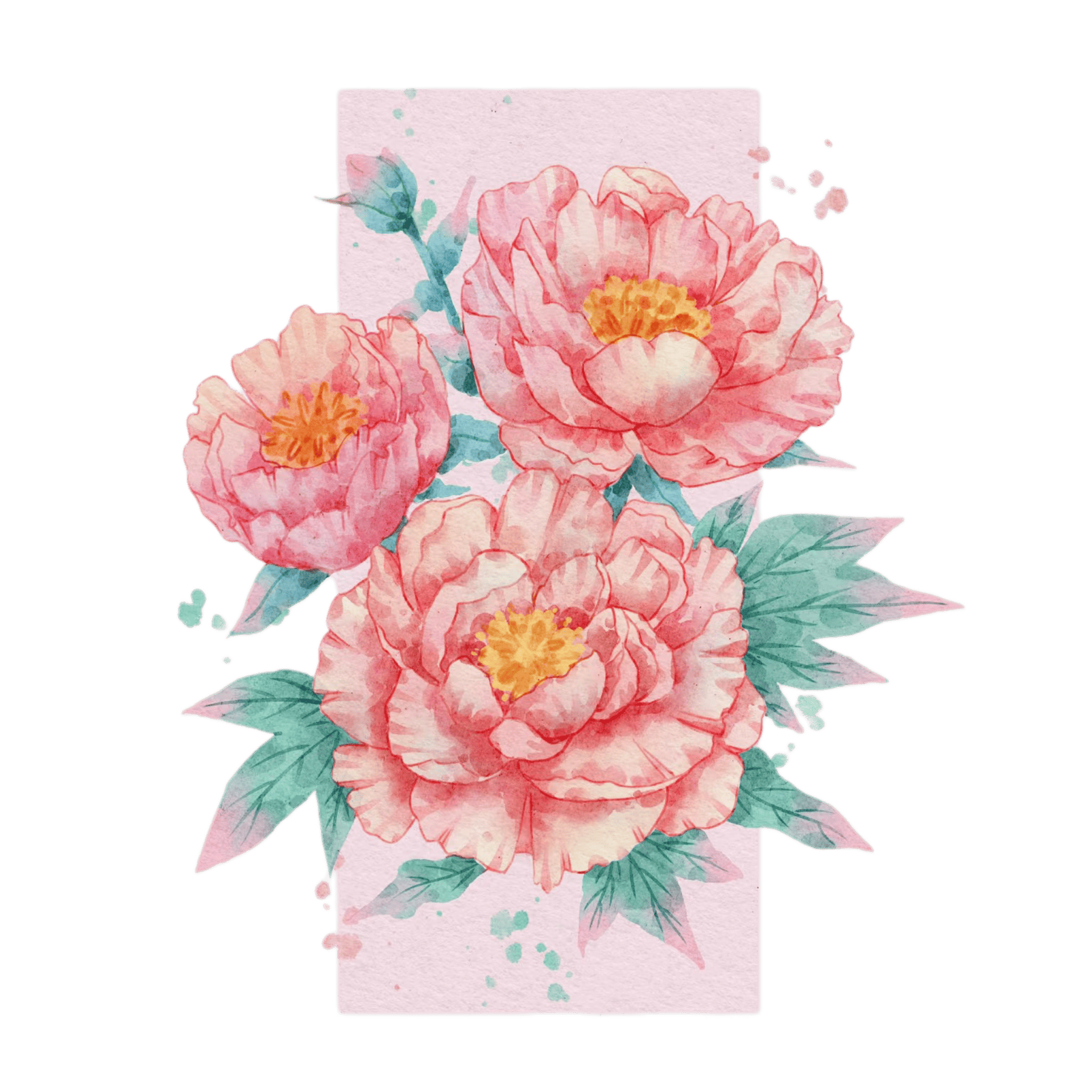 A0605C8C-74B0-4BCD-8EDA-2200C60B1FCC.png