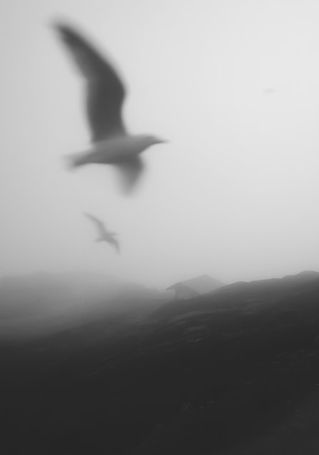 Screenshot_20260804_174223.jpg