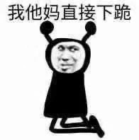 我踏马直接下跪.jpg