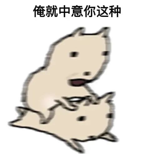 mmexport1785777700888.gif
