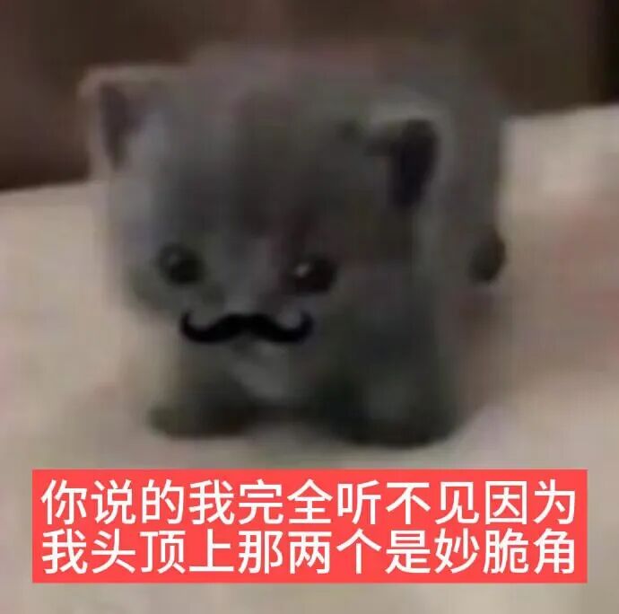 mmexport1785812872828.gif