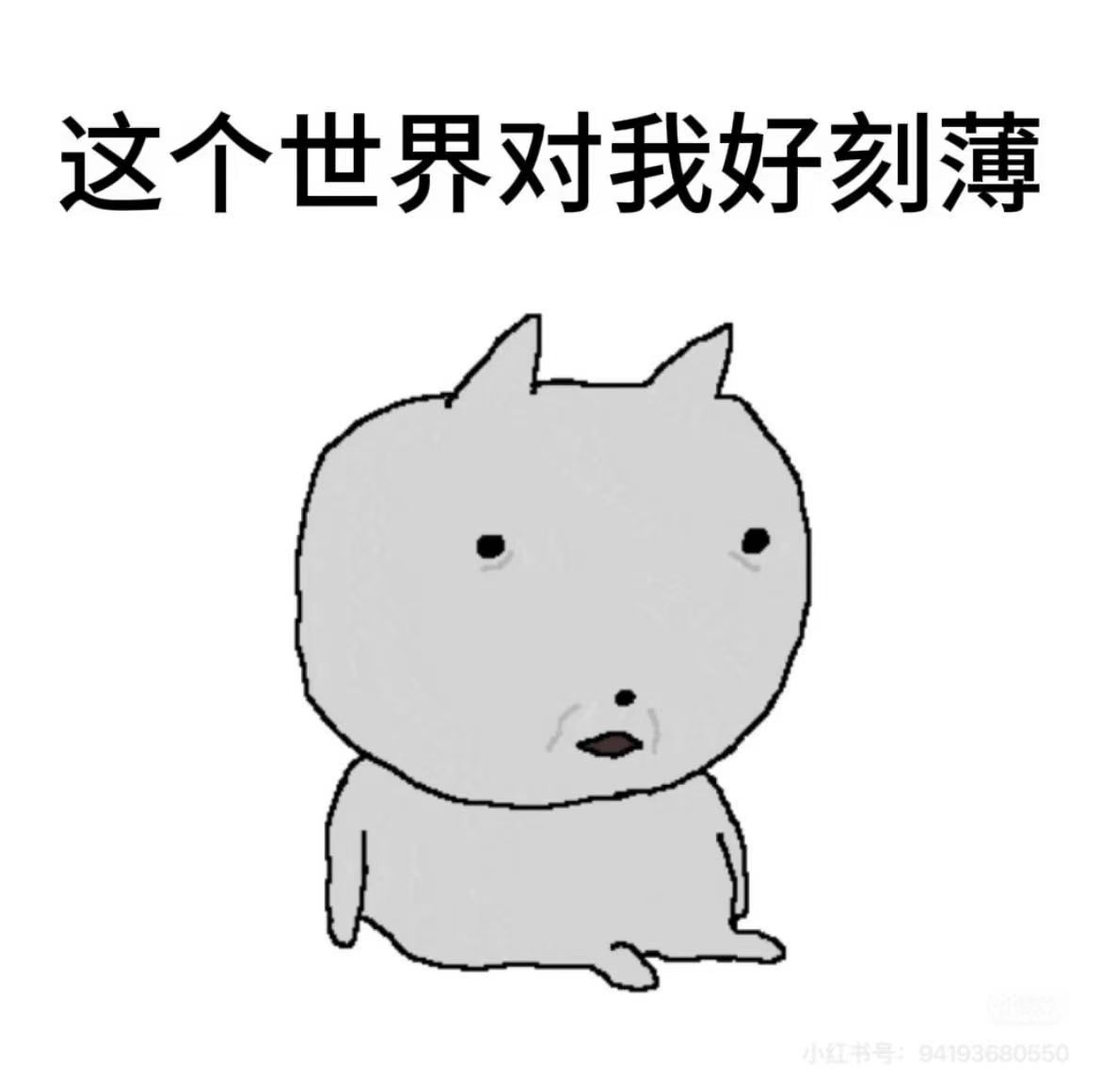 mmexport1784968807356.jpg
