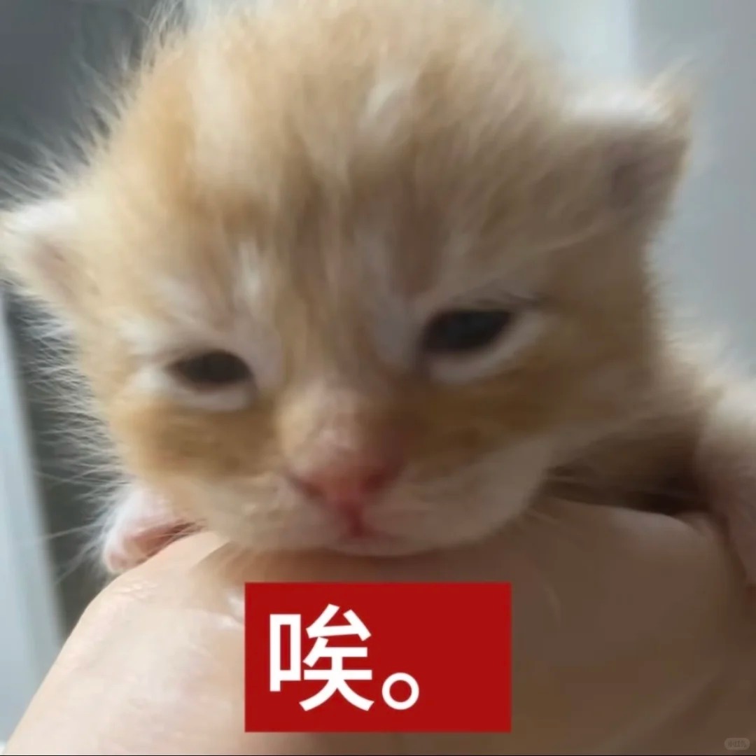 审美积累（1）_12_萌萌之中早已注定_来自小红书网页版.jpg