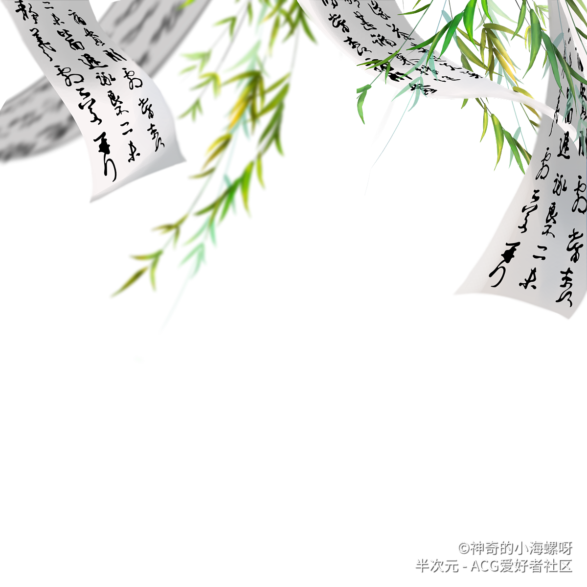 IMG_7399.png