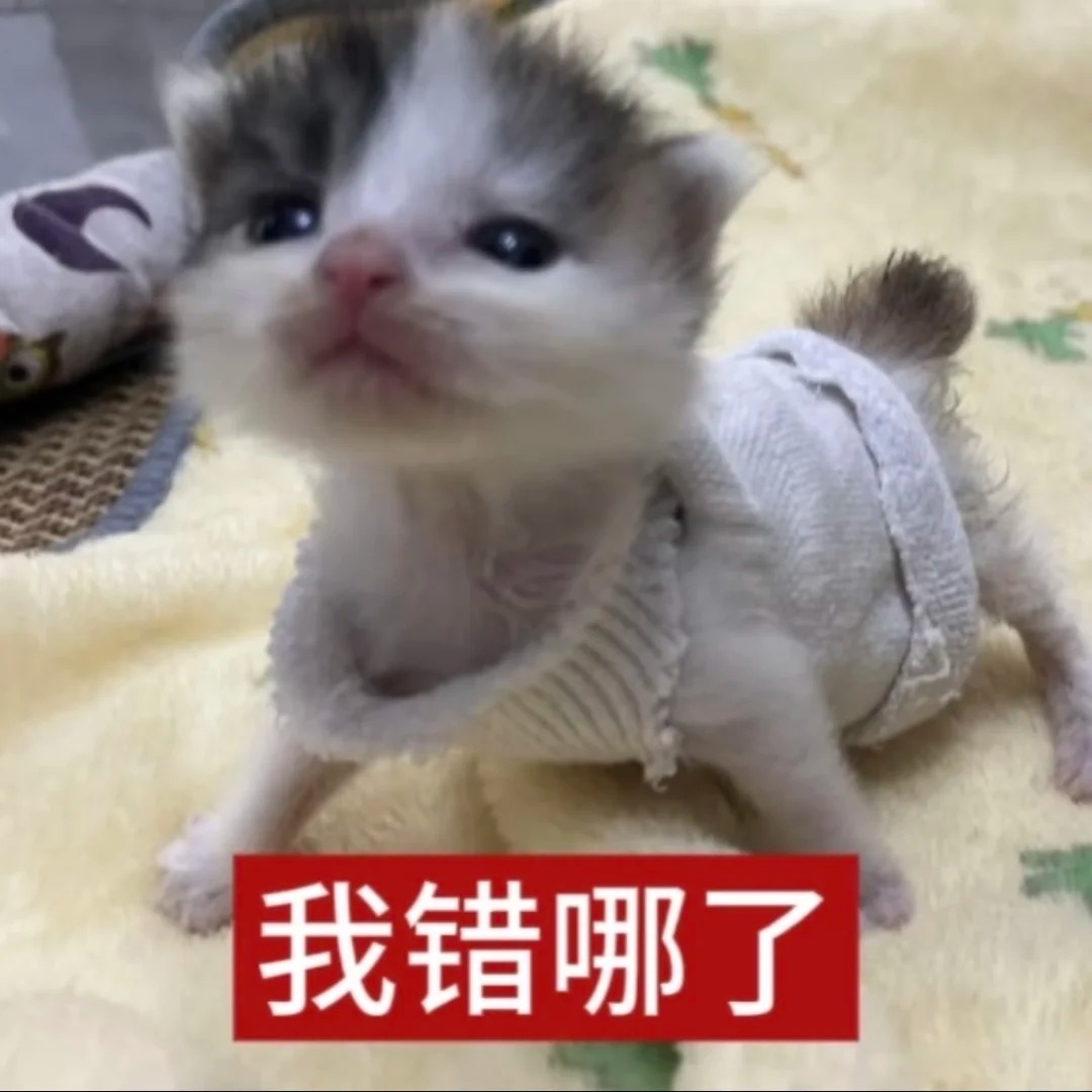 审美积累（1）_9_萌萌之中早已注定_来自小红书网页版.jpg