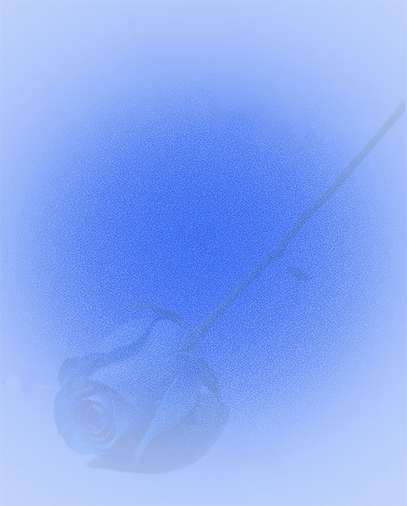 080416.jpg