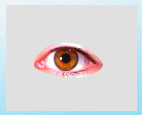 1781825082843.png
