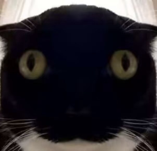avatar-1785838475099-54225.jpeg