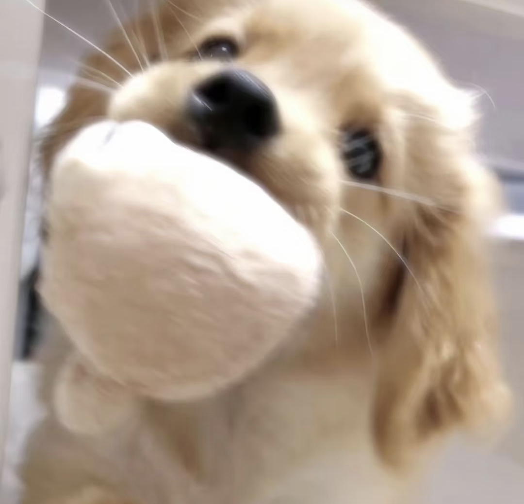 1000135272.png