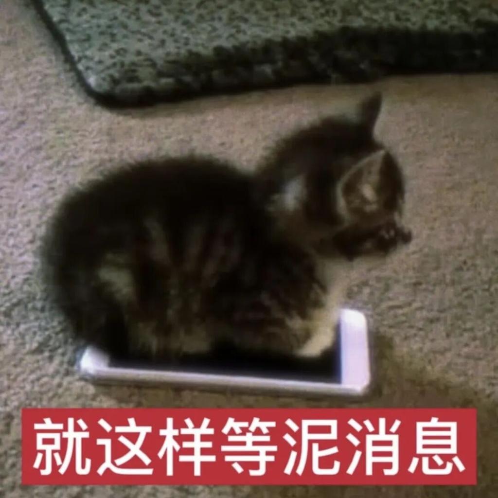 mmexport1785812895577.gif