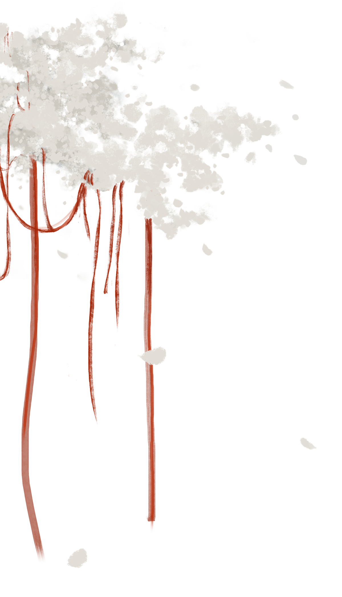 IMG_7378.png