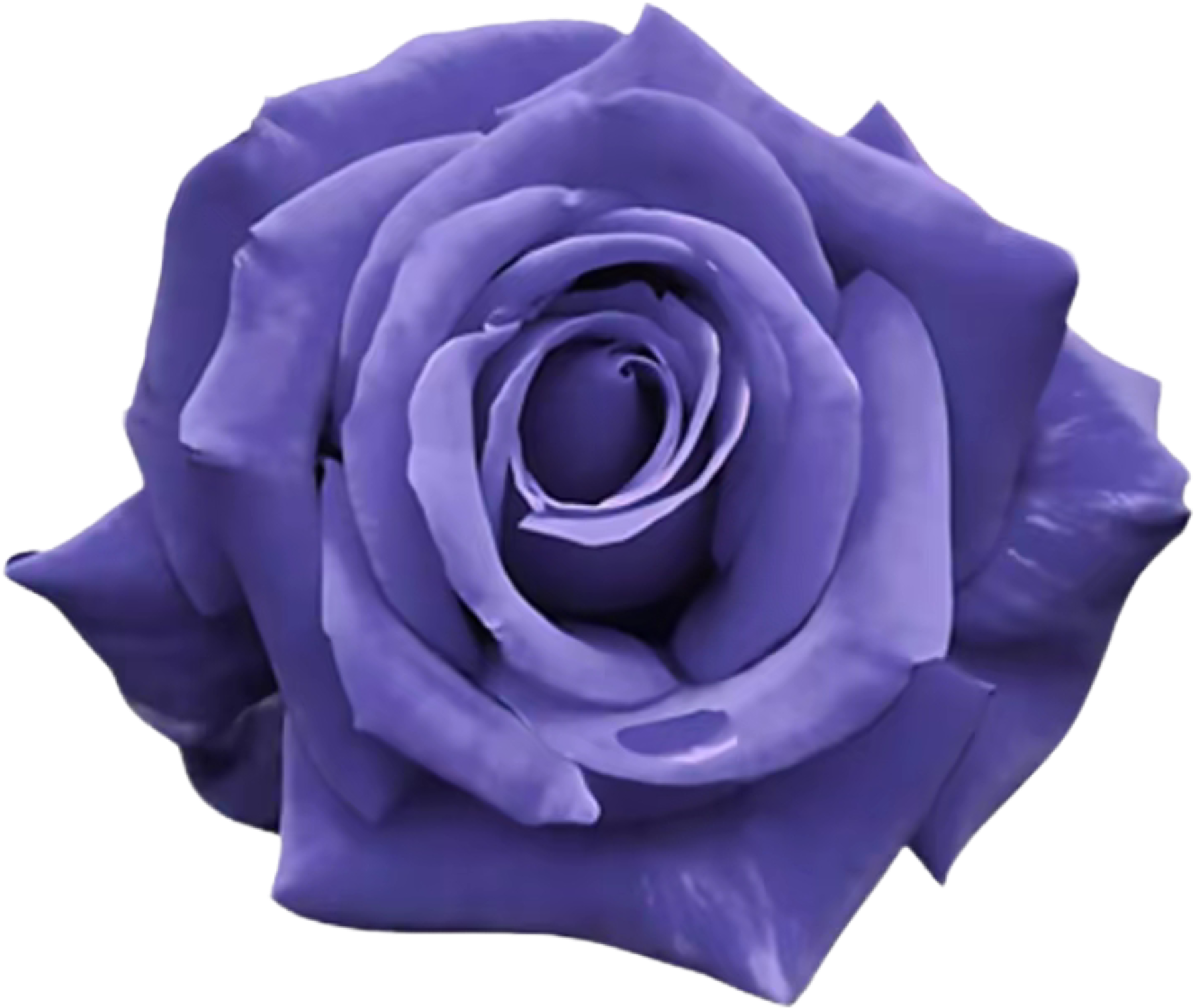retouch_2026080401110904.png