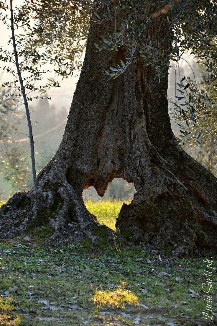 1000053254.png