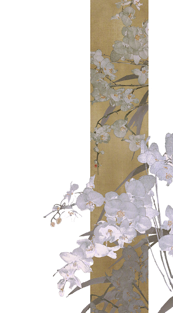 IMG_7442.png