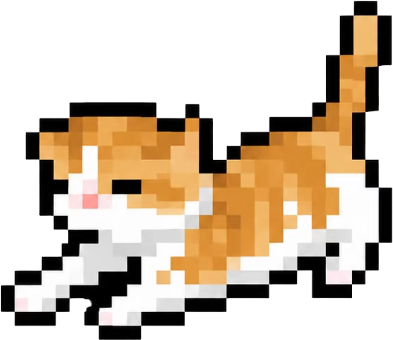 1000168445.png