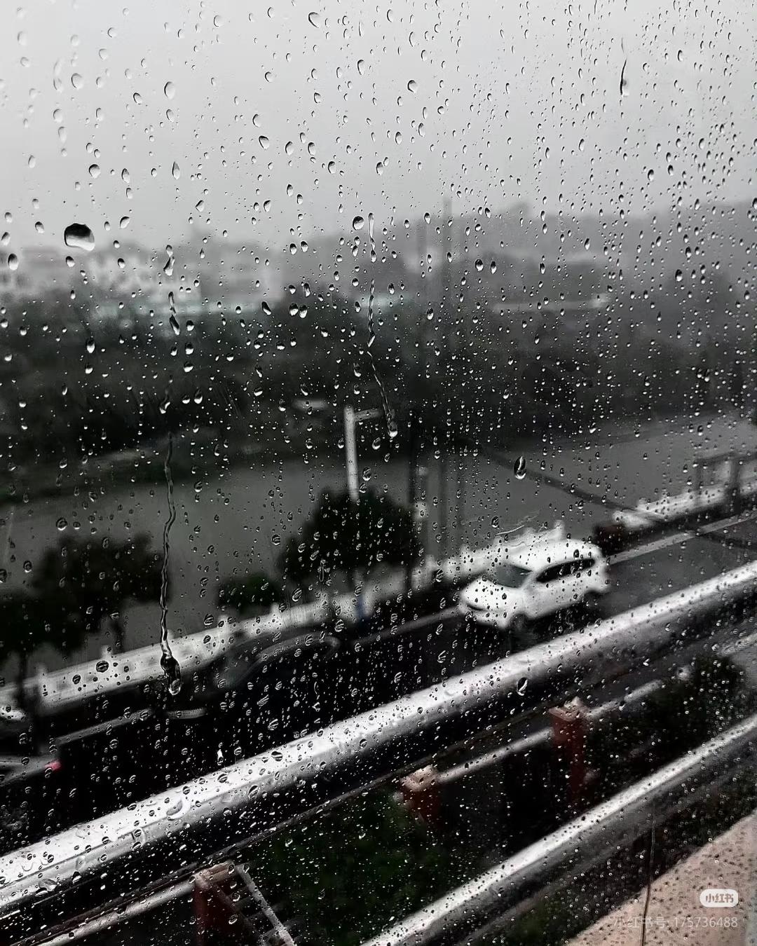 1000051691.jpg