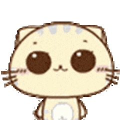 IMG_0764.gif