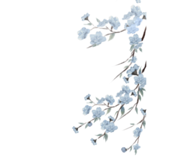 无标题64_20260805191758.png