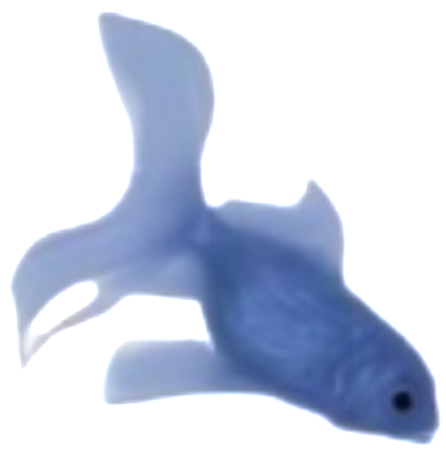 1000163882.png
