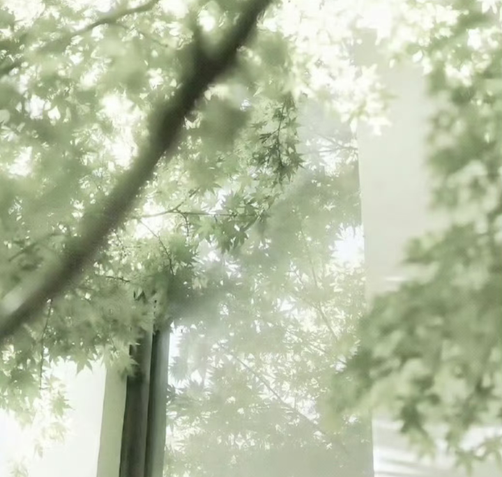 Screenshot_2026_0805_062715.png